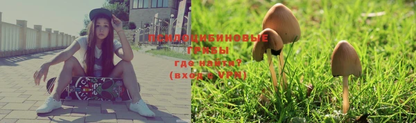 спиды Покров