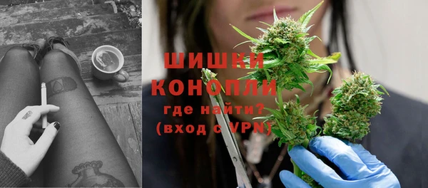 дурь Тотьма