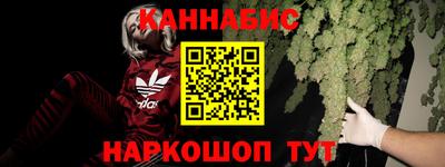 apvp Канаш