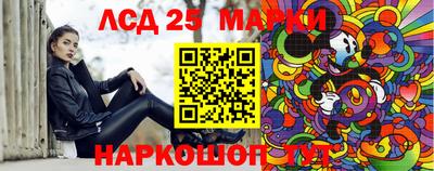 apvp Канаш
