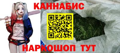 apvp Канаш