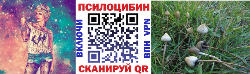 Псилоцибиновые грибы прущие грибы  Сарапул 