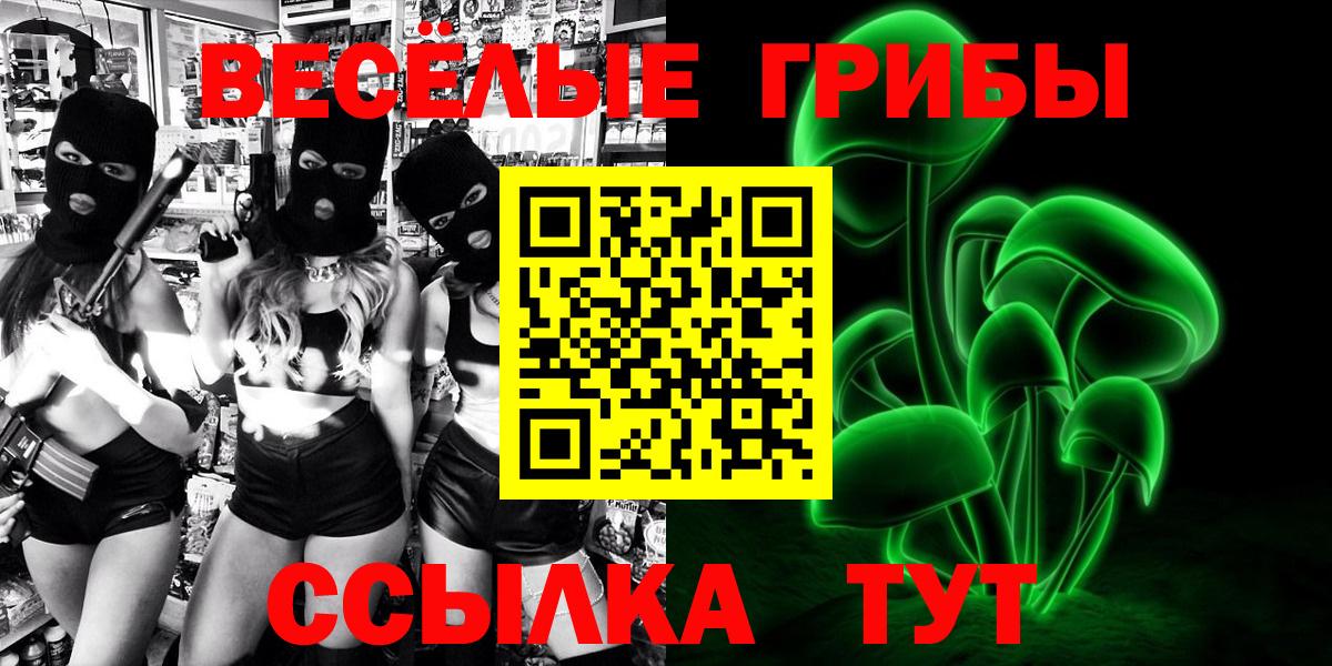 Псилоцибиновые грибы Psilocybine cubensis Сарапул