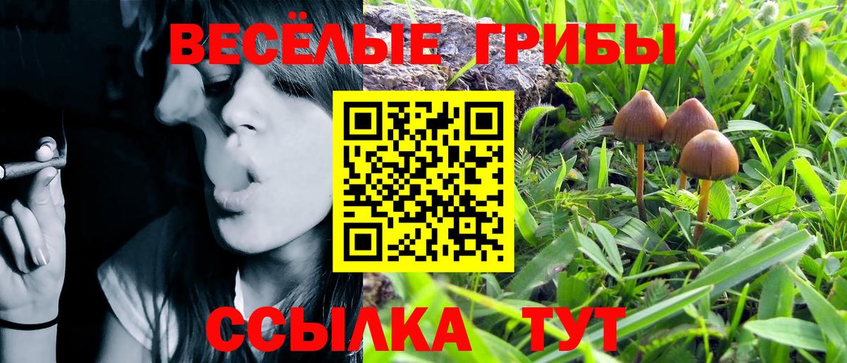 Галлюциногенные грибы мицелий  Вход с VPN  Сарапул  где купить   Галлюциногенные грибы Magic Shrooms 